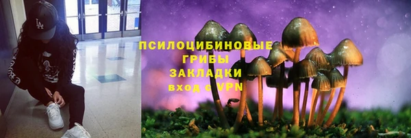 прущие крисы Белокуриха