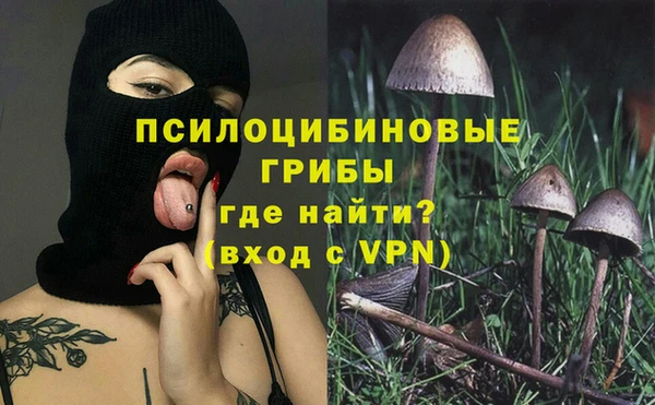 прущие крисы Белокуриха