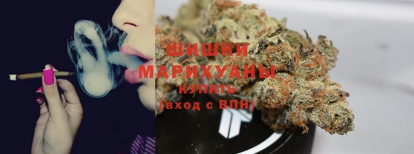 молекула духа Белоозёрский