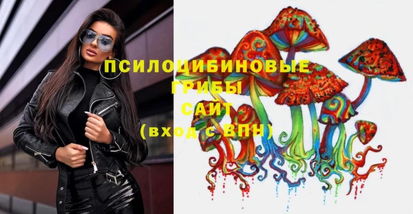 прущие крисы Белокуриха