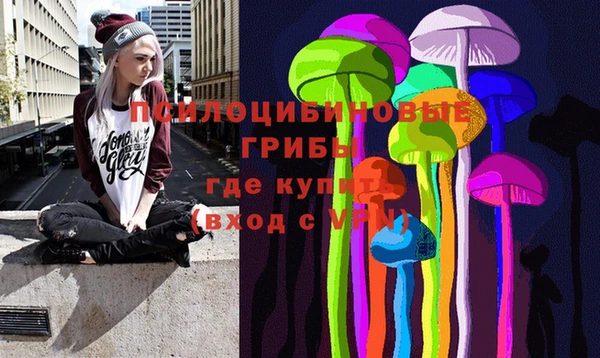 прущие крисы Белокуриха