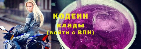 молекула духа Белоозёрский