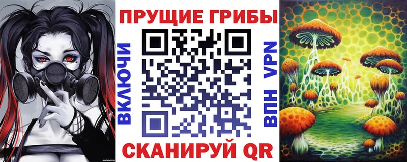 Псилоцибиновые грибы мицелий  Жердевка 